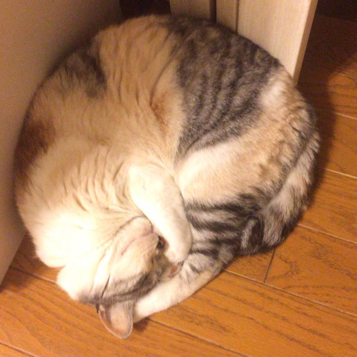 193923a9 57b3 4f88 80f7 86197ec1de14 1547133706768