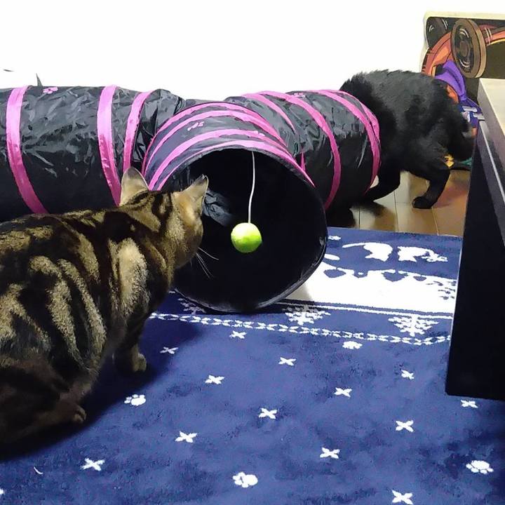 1939257b b8b1 47e3 bb98 32359f809cf8 1703890643911