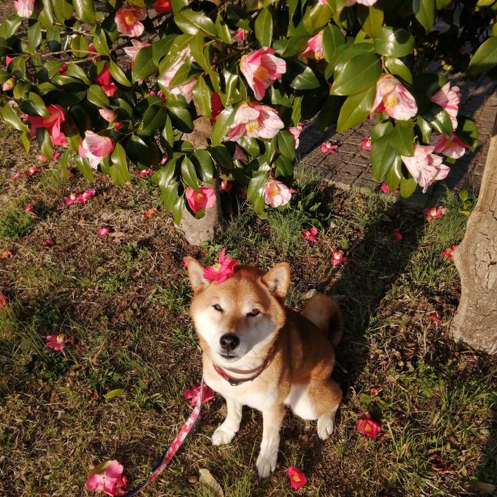 19392d51 bc98 4726 b9b7 97b37a24bc7d 1678964316536