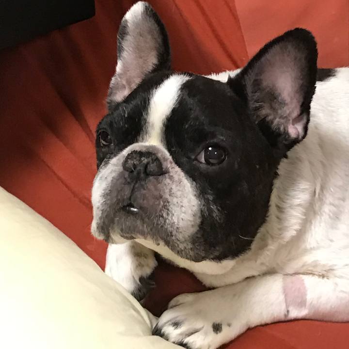 1939566c 5cf8 41f8 9576 6ec9b5fec94d 1563434885309