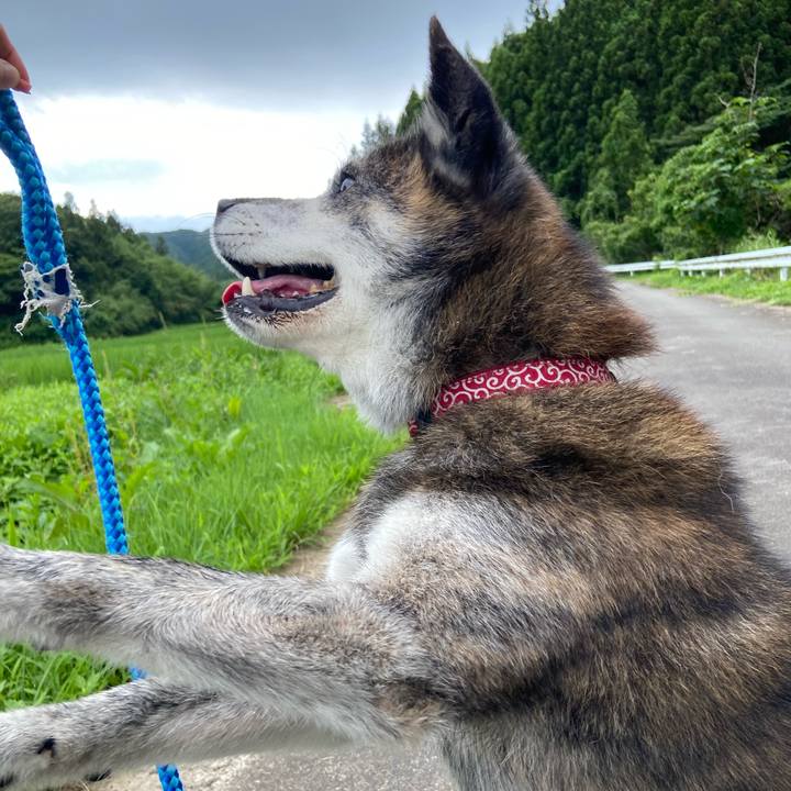 19395a70 c929 4555 97d1 a73191120c19 1722168964114