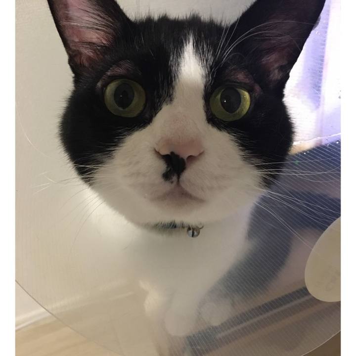 19396270 9254 41e2 8f40 98b96a779f30 1589974536913