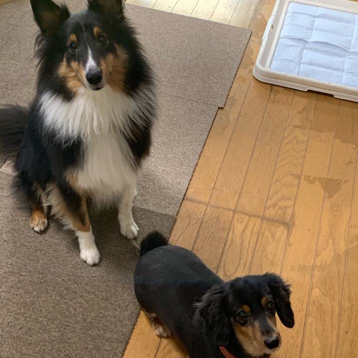 193964e6 1838 4300 b743 3a0317304096 1572213490032