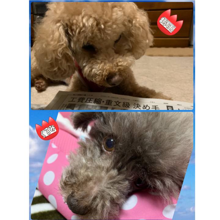 193965e3 e637 4f15 813a 311dc63c770e 1621461924867