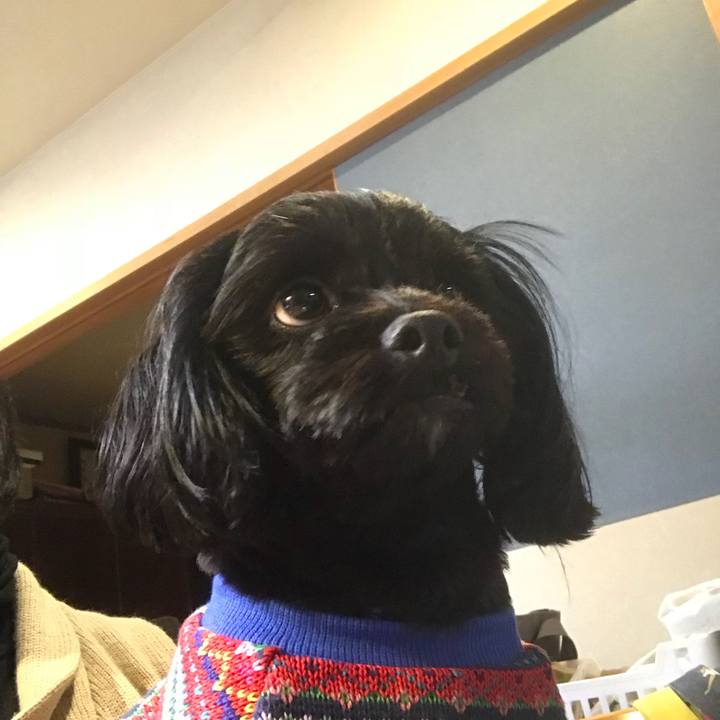 1939c641 d395 4c9a 8c58 104ecfbfe9ae 1508335161999