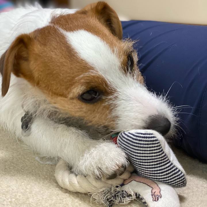 193a9cb3 52c5 4757 bada 32d889db5158 1642305110220