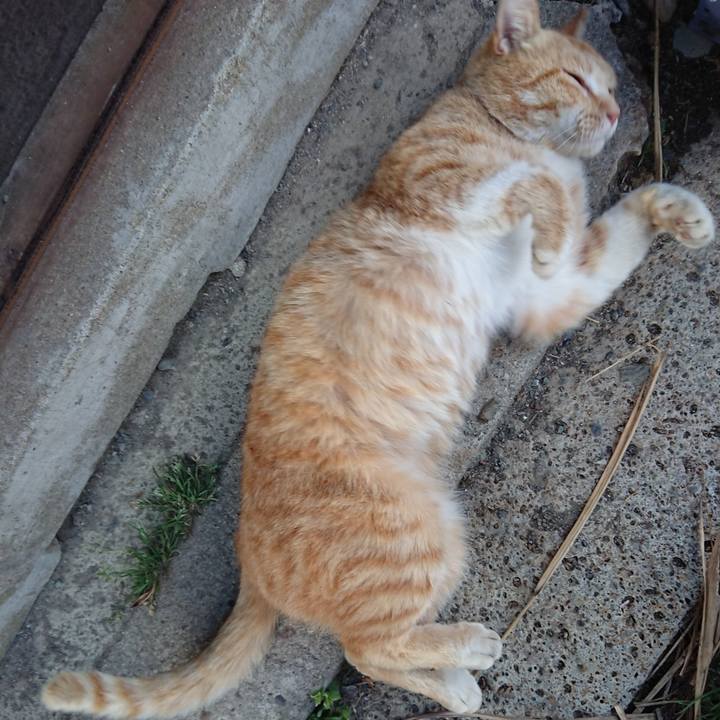 193aa993 387b 4eea 85a8 44b38c7f8d55 1557222457585