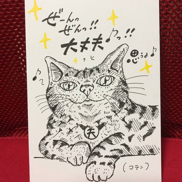 193acbce 8575 4f3b 9fb5 ccc3e5c88518 1551966775254