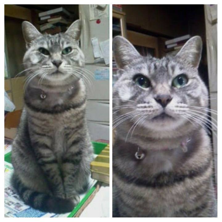 193af70a baa8 45ed ab6e 2acfce6b69dc 1574903275711