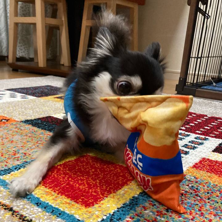 193b3e25 9d09 4bfb 9e43 76d44a30bcaf 1694964518481