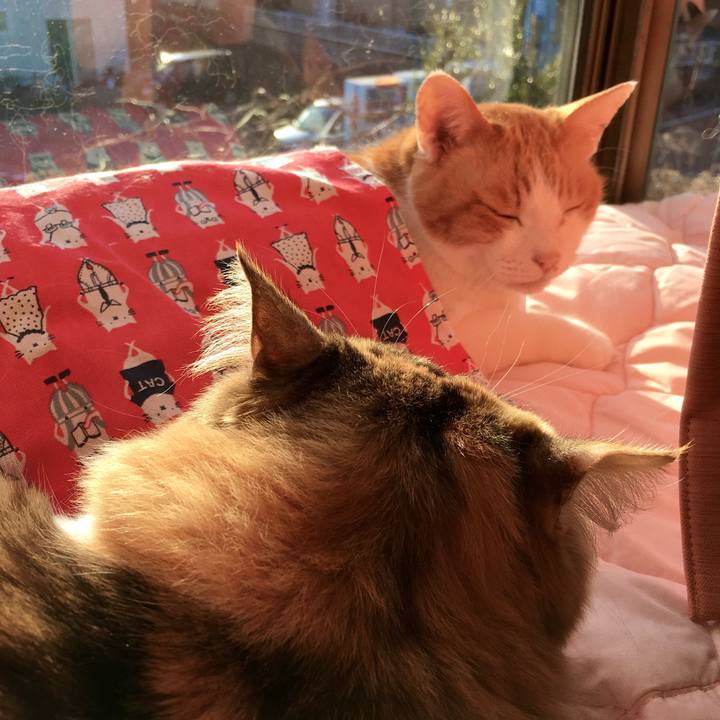 193b852f 73ab 4f56 8a89 3e7852ebc4eb 1577954744609