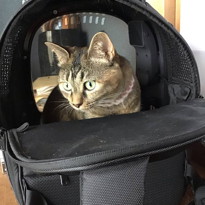 193bb720 4b85 459f a85f e755430cb3e5 1722761253137