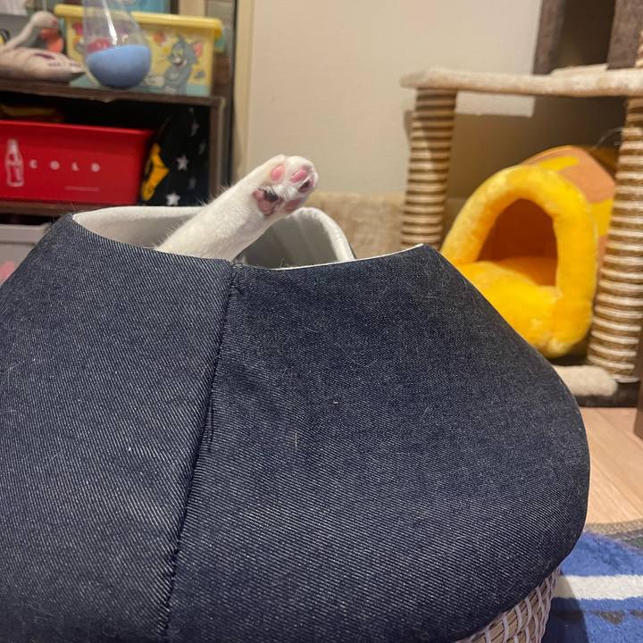 193bf0b7 30f7 4383 b9ea a35330be3459 1681904729916