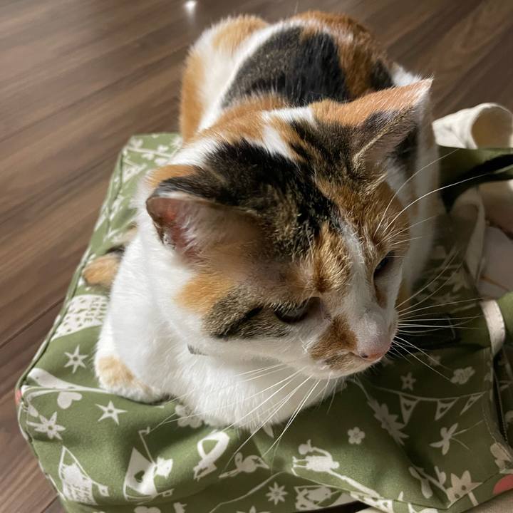 193c3ca7 1b08 43ab 9acd 9fa3bf0428fc 1713005145192