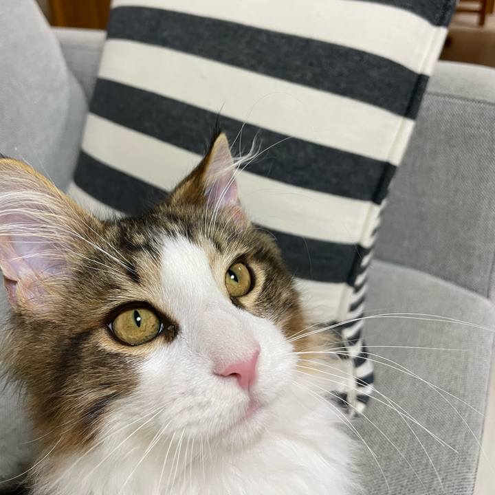 193c7f0b 3c54 47d5 ba2f c7e6e60f5eb3 1636919382635