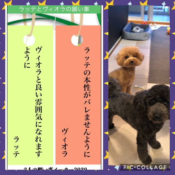 193c972d fc3f 4bbd 9a20 272221c93ea9 1594126113255