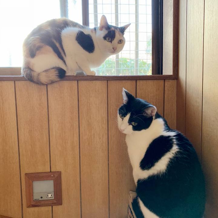 193c98a6 b778 4427 bf0b e467b2ec15dd 1543196951325