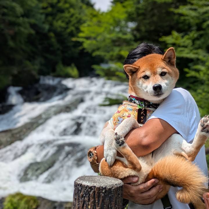 193c9b23 ef9d 4243 b012 12c96d8f45f6 1752064006169