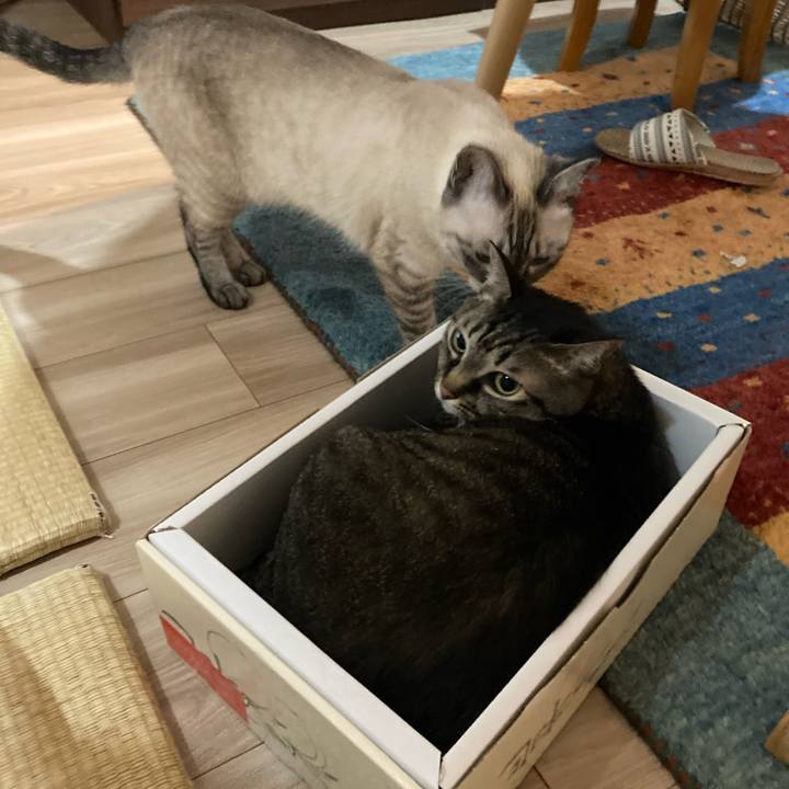 193cd659 bad1 41f7 9673 f72f9547b306 1596113097332