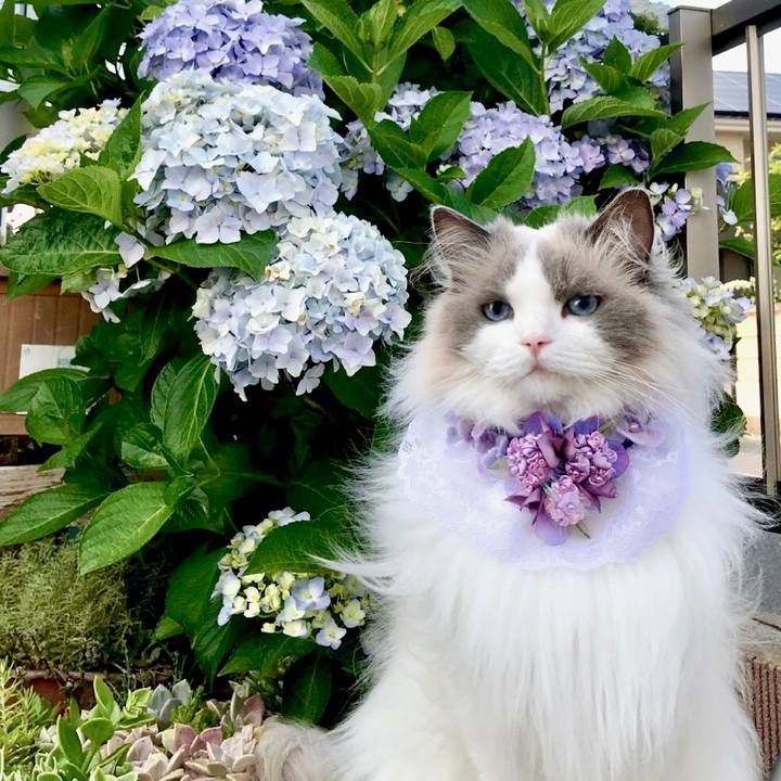 193cef16 c5be 432c ac99 a32b3dae2ab4 1622446024877