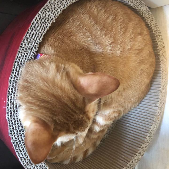 193d0730 2487 44df 9c99 21e2612d3589 1628123819290