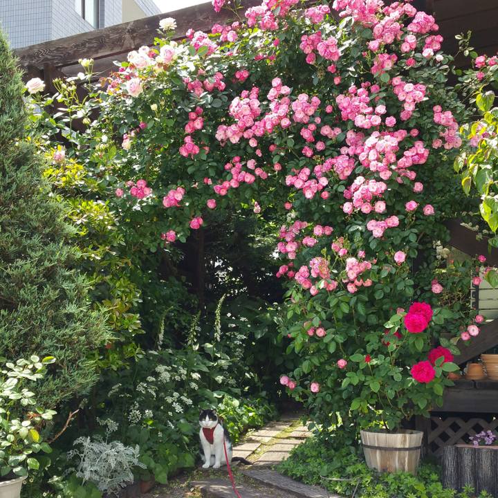 193d317f ad22 41f3 aadf 41e6a74a21d7 1527564632794