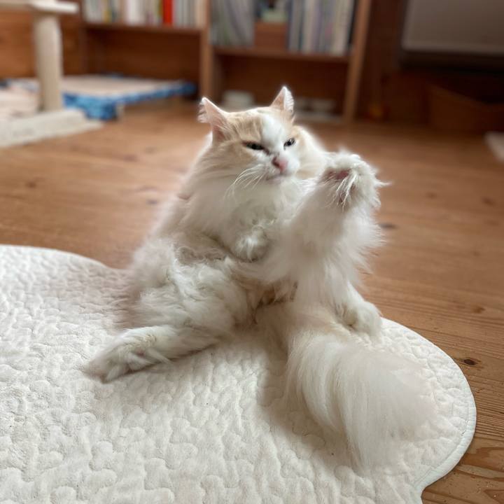 193d3a07 220a 409a 92a5 9b0a33d51193 1730415194553