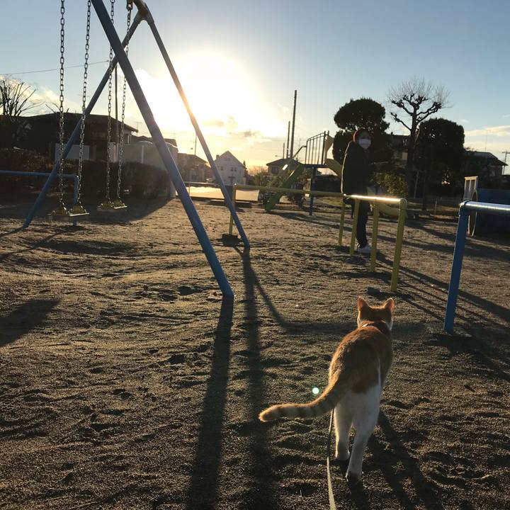 193d3eec cf9c 43ff 8c65 982eacb15710 1511511722956