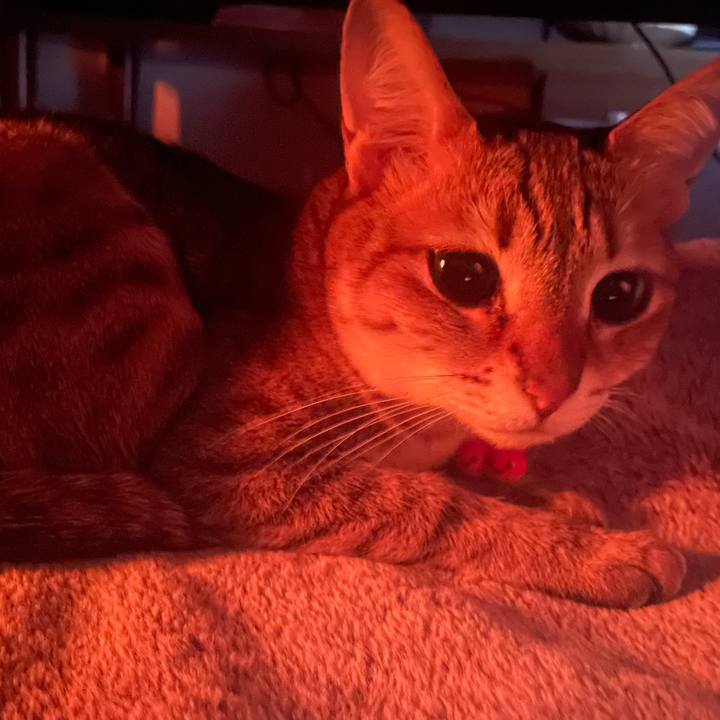 193d417d c43c 4cdc 81d3 e885a5a067bb 1739335187743