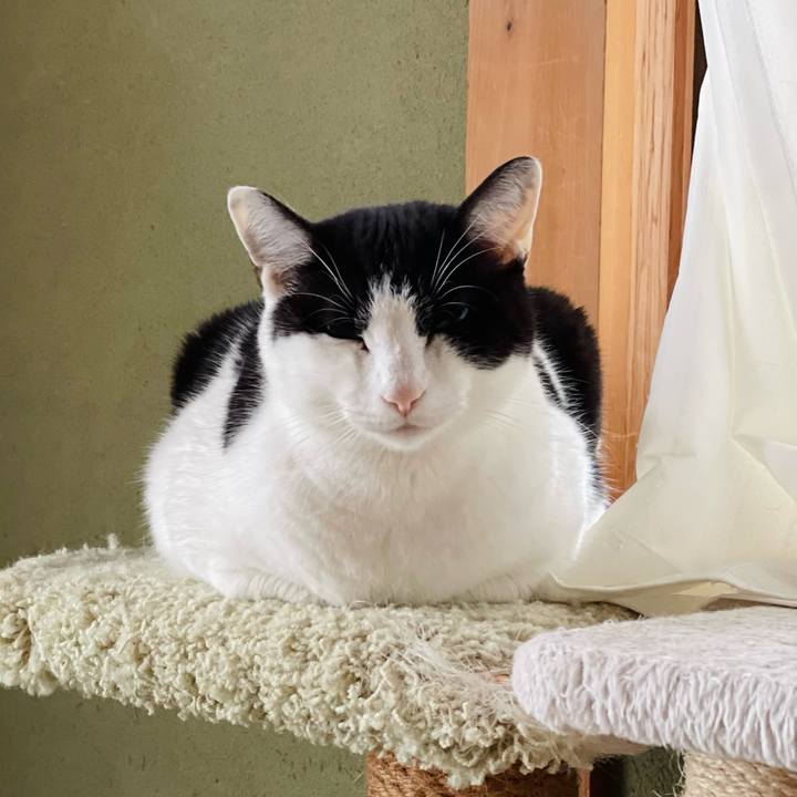 193d57c8 33cf 4c40 be1e 3a502f23862e 1643512418817