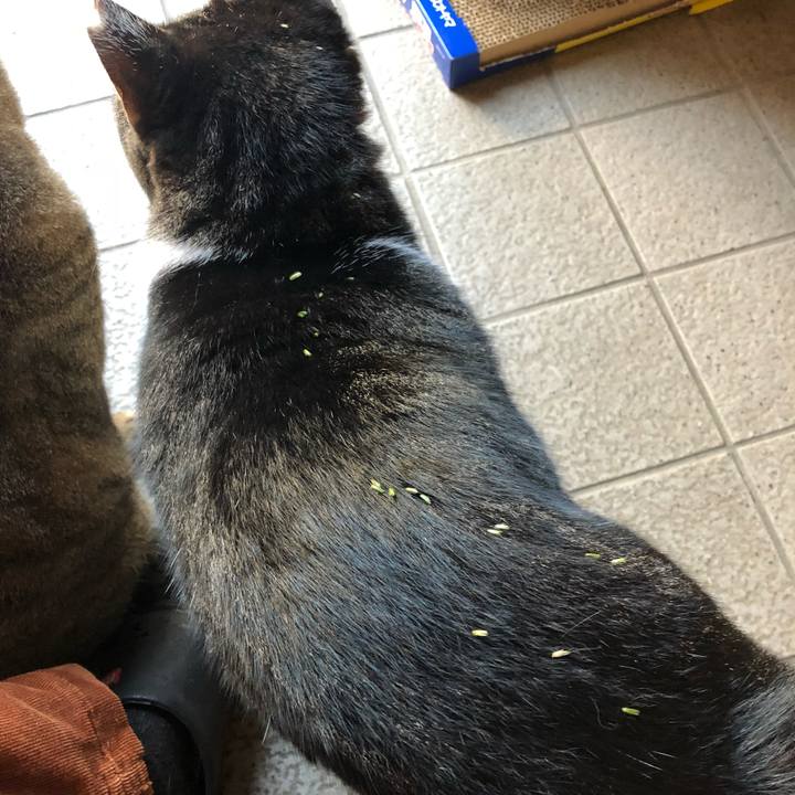 193d7da2 09a3 434d 96e5 9d6f09dcffd6 1541638799377