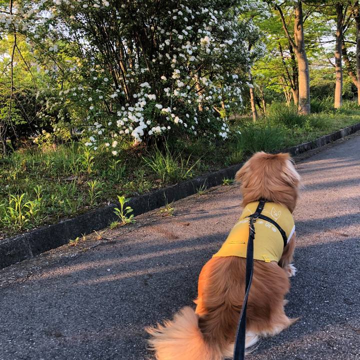 193dae84 52ae 426b bcc4 96c1d6c23b04 1524433344354