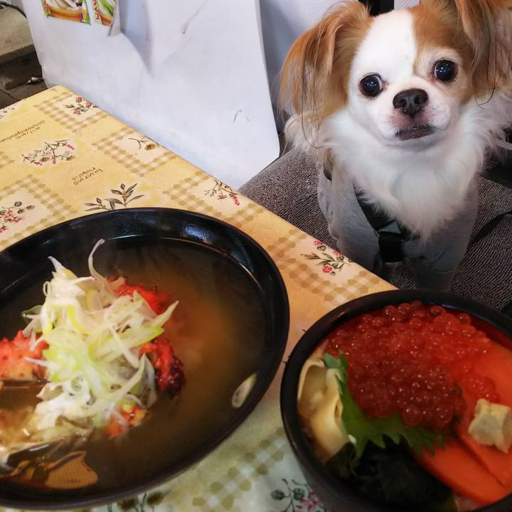 193dd017 53bb 42be ab5d 509efa4a6438 1509000410156