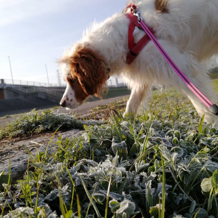 193dd080 c887 46d2 ba15 76c2d12ff69b 1584407173755