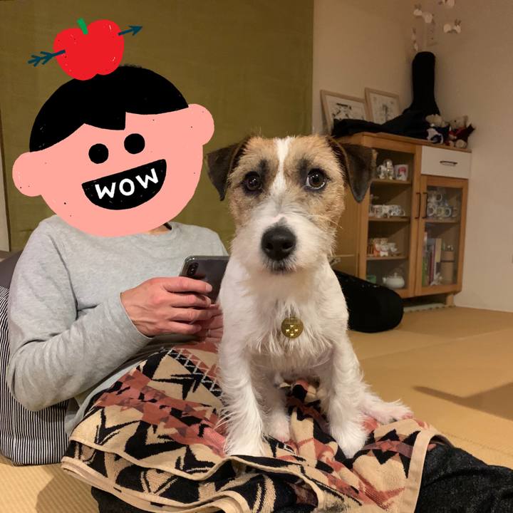 193de064 fd19 4348 ab6e 80dd6b4e8c26 1587557114854