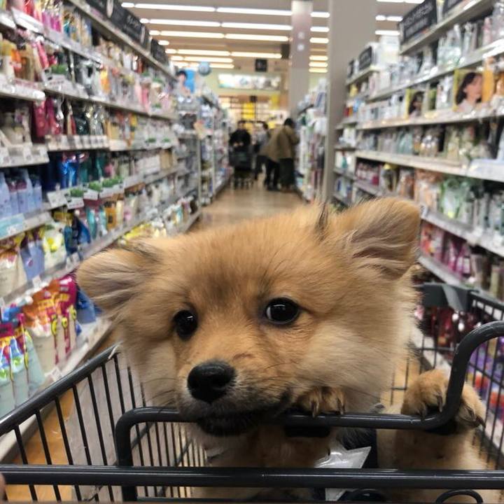 193e0662 190f 4ea6 a03c fc66de6e7ef3 1576311430294