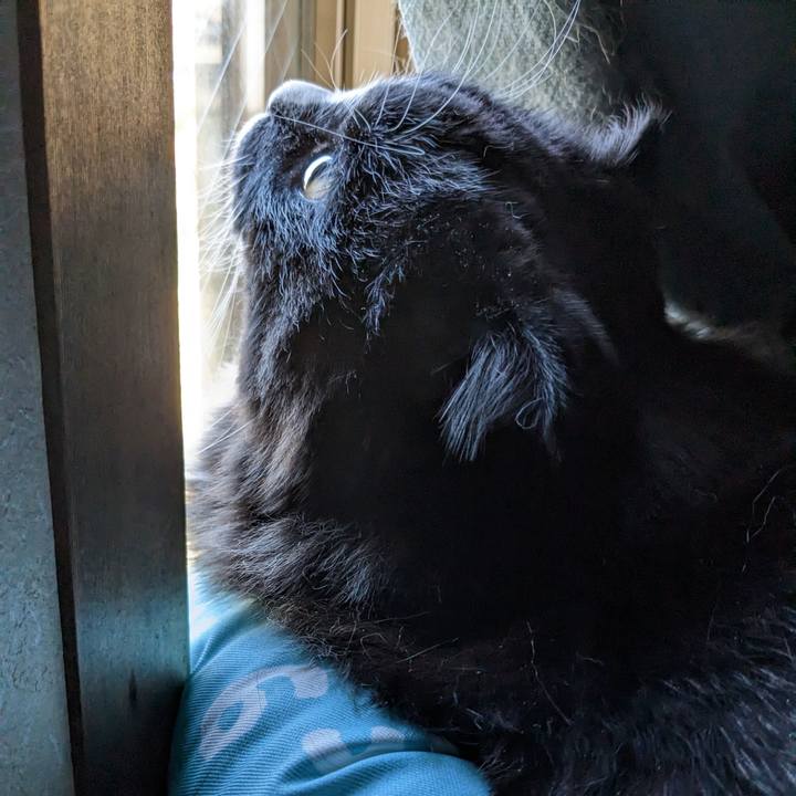 193e4a53 a3a2 442d a84b d13f4e1dd983 1678402556673