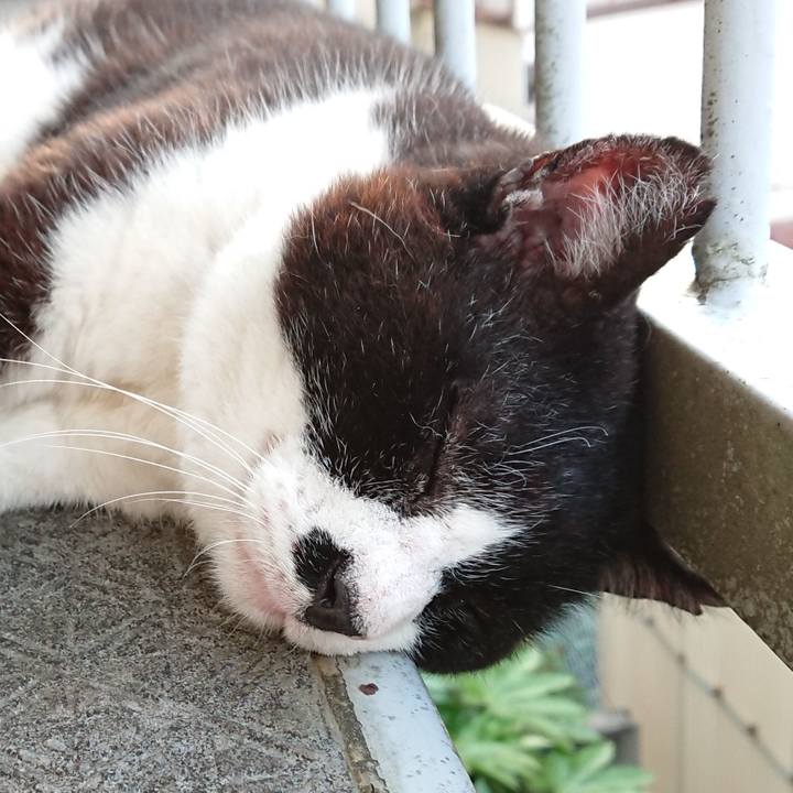 193e4efb 3324 484c b8bb dba5409e44ab 1657444702000