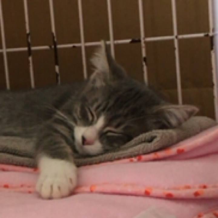 193e5822 5d89 4795 9669 9fdfd60286b4 1530348922917