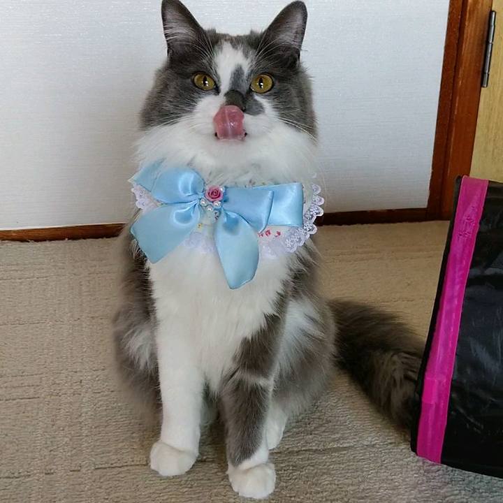 193e6d35 f200 421d 913c 0827cee10dc6 1582516101160