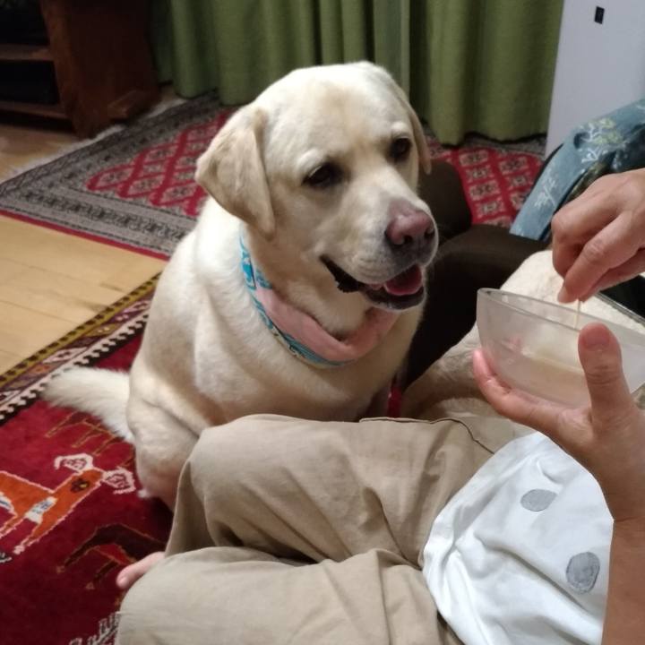 193e8ad5 c92c 4625 8a83 fb40dbc34618 1630479335287