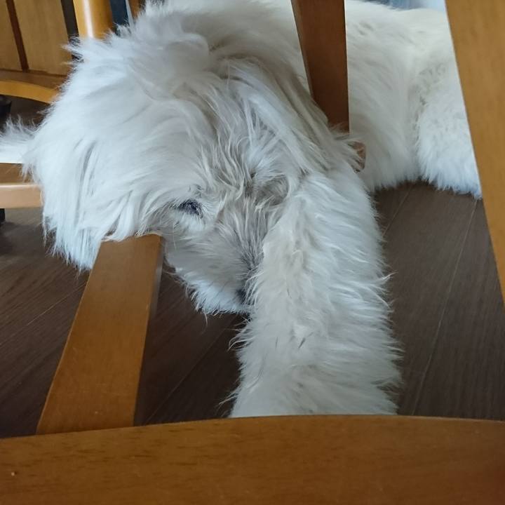 193e98e7 c0d5 4681 ac25 6579886c4dd8 1603605523158