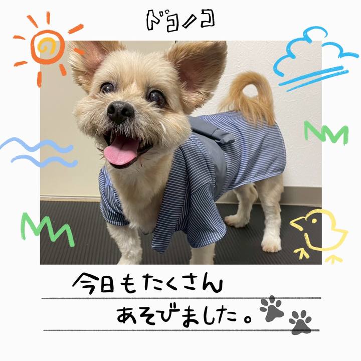 193eb3ab b2fb 4ea4 a14c b49995cfdd30 1755511506112