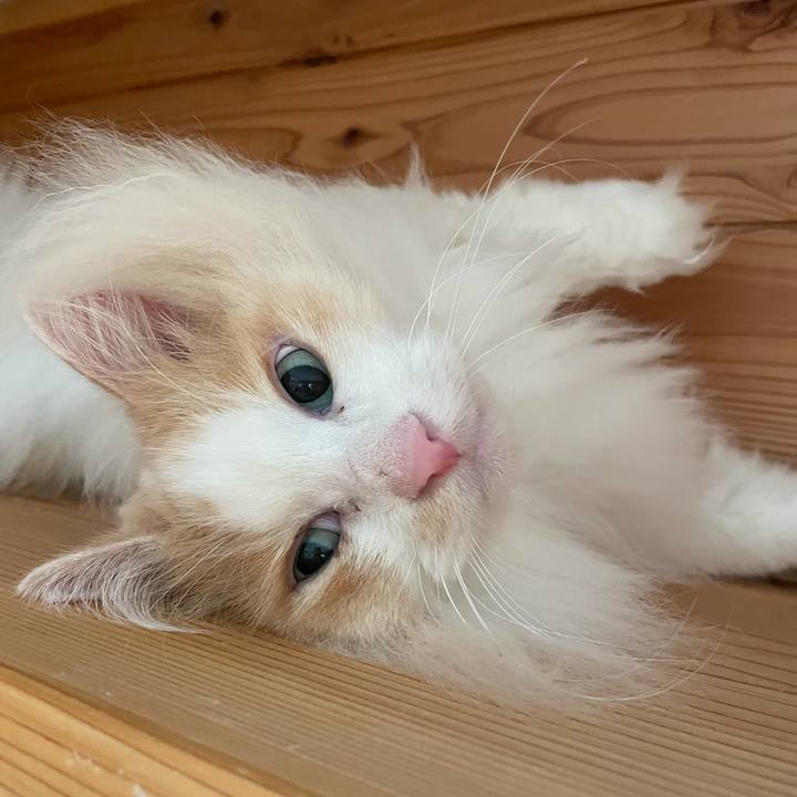 193eb721 ce58 402c a40a efc3bcb14b08 1628625596934