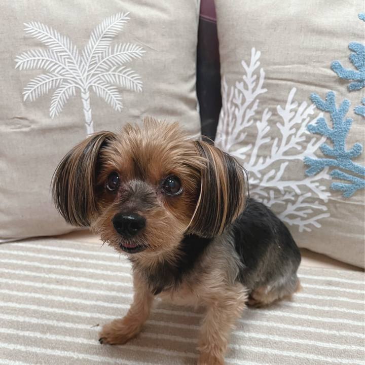 193ec8bb d5fd 4e03 9850 fa614563ab2a 1651047678441