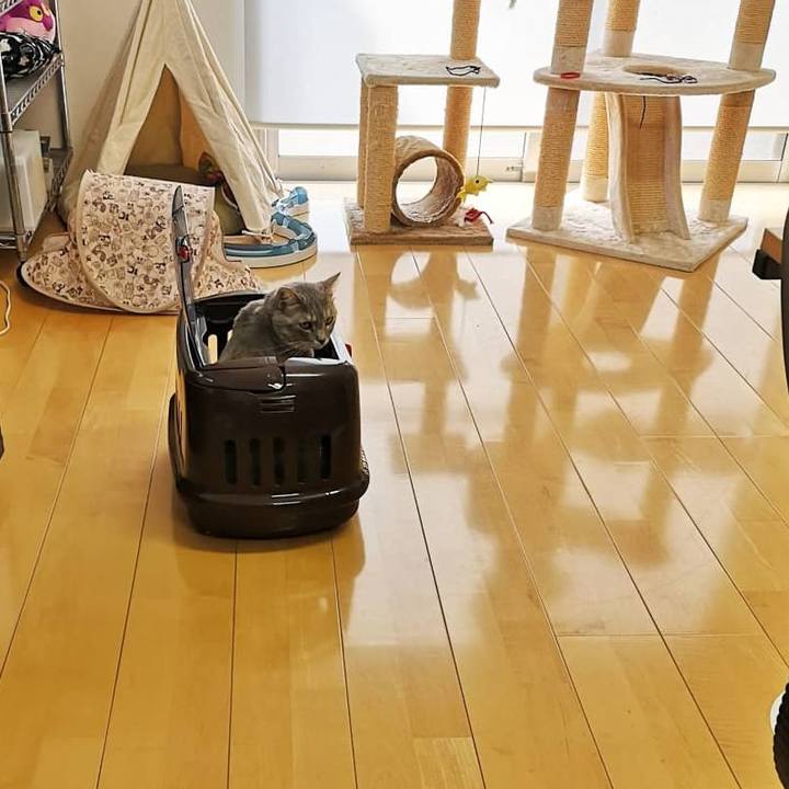 193ef834 6717 45b5 9809 9b66e858ed27 1591258540621