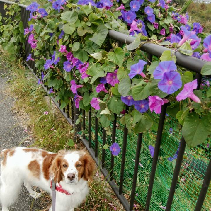 193f28b7 48bc 4ad6 b8de 714176e84804 1542010372774