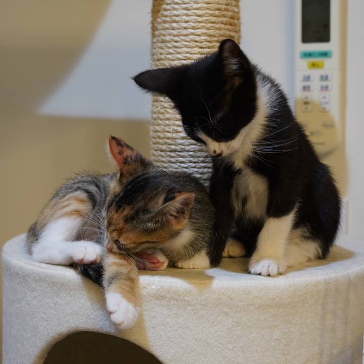 193f2e70 e093 45db 8175 69df1796ed02 1567690820375