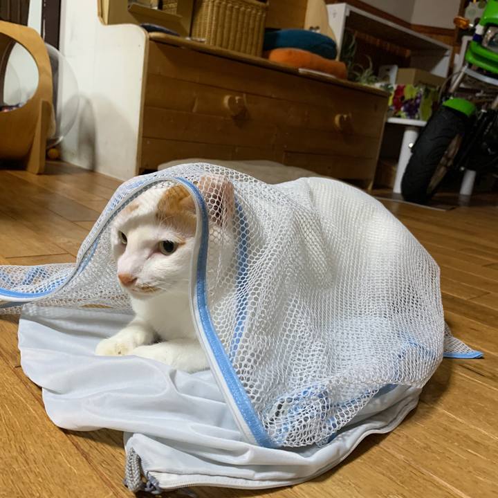 193f6394 b78d 4e54 be16 e7aeec519bbc 1662295648498