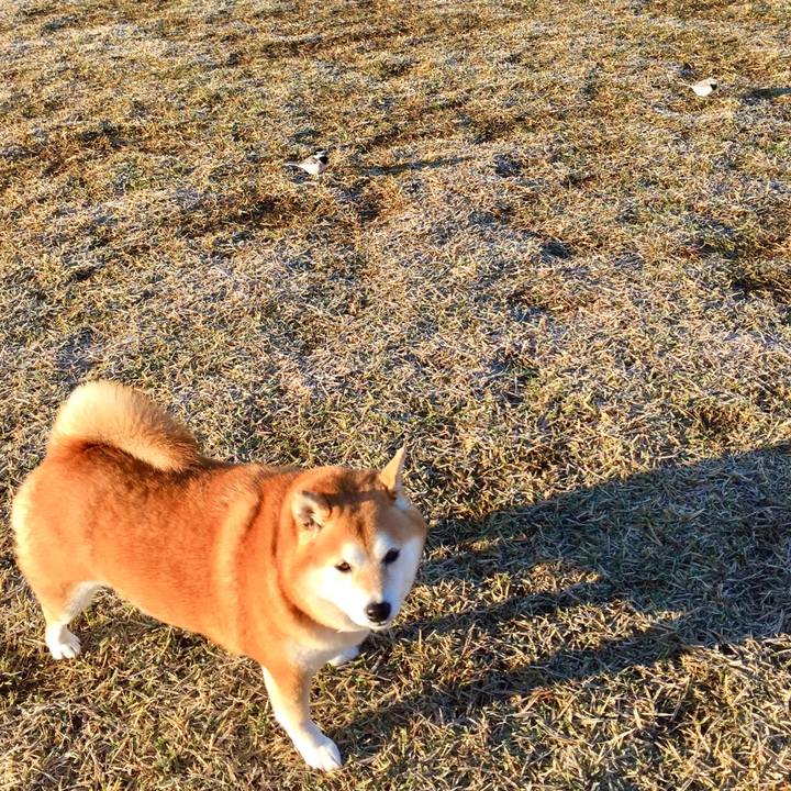 193f6c93 e0a0 4f56 b3d0 0a1f14291e0a 1575782438759